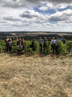 L’équipe des vendanges 2019