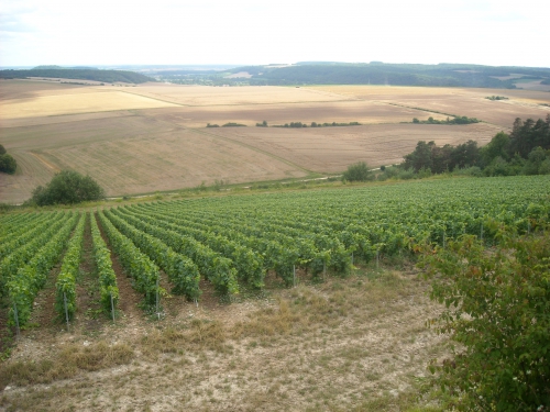 Les Hautes Forêts